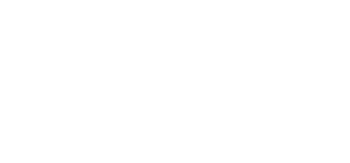 Dojo Solutions company logo